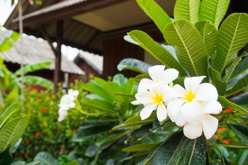 Weekender Bungalow Lamai Beach  Bagian luar foto